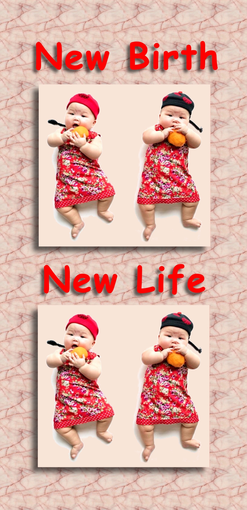 new-birth-new-life-chinese